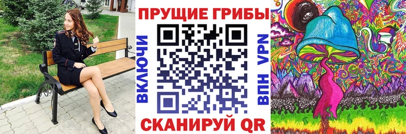 Галлюциногенные грибы Psilocybe Любим
